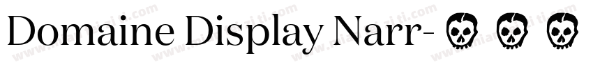 Domaine Display Narr字体转换